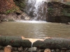 20061007_062.jpg