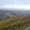 2007-11-11-047.jpg