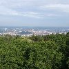 2009-07-03-192.jpg