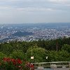 2009-07-03-195.jpg