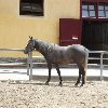 2009-07-04-44.jpg