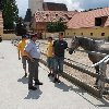2009-07-04-75.jpg