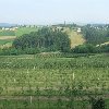 2010-07-02-036.jpg