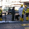 2011-02-26_020.jpg