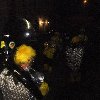 2011-03-08_054.jpg