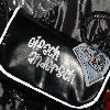 2011-03-11_gt-121.jpg