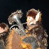 2011-03-11_gt-193.jpg