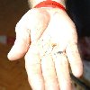 2011-03-12_453.jpg