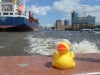 2012-06-02_026