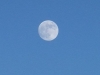 2012-06-03_052