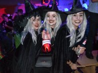 DSC_0181